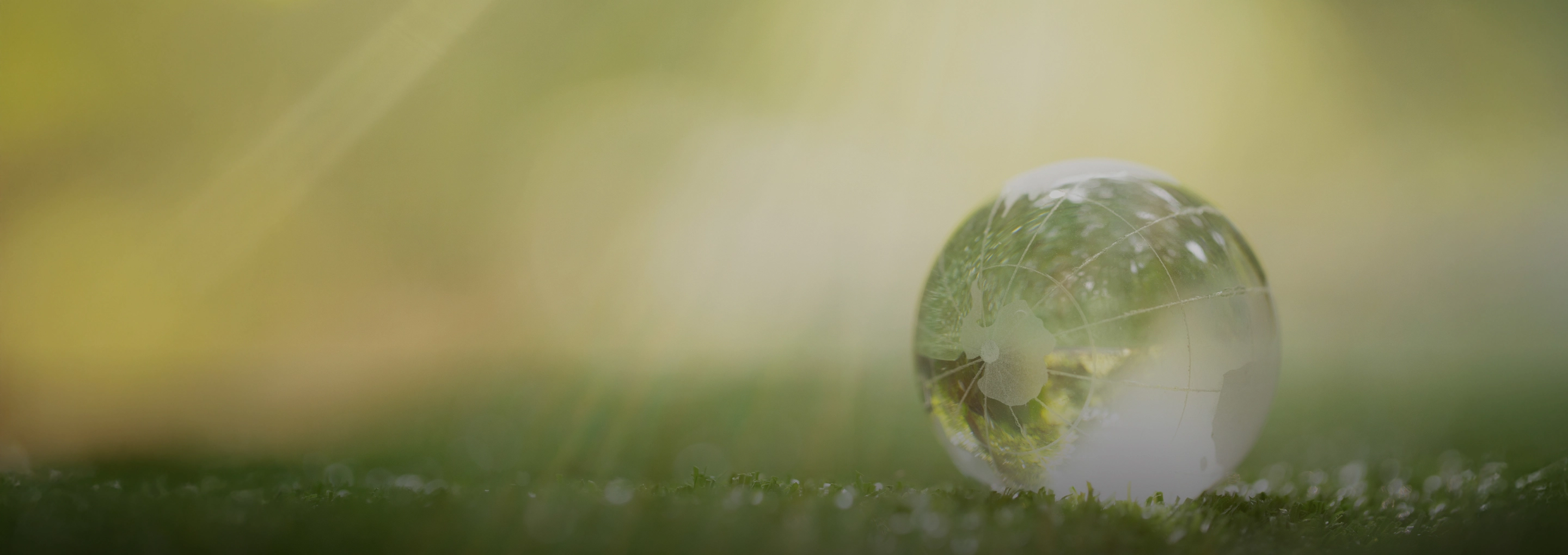 การสนับสนุนและส่งเสริมเป้าหมายการพัฒนาที่ยั่งยืนของสหประชาชาติ (UN SDGs)