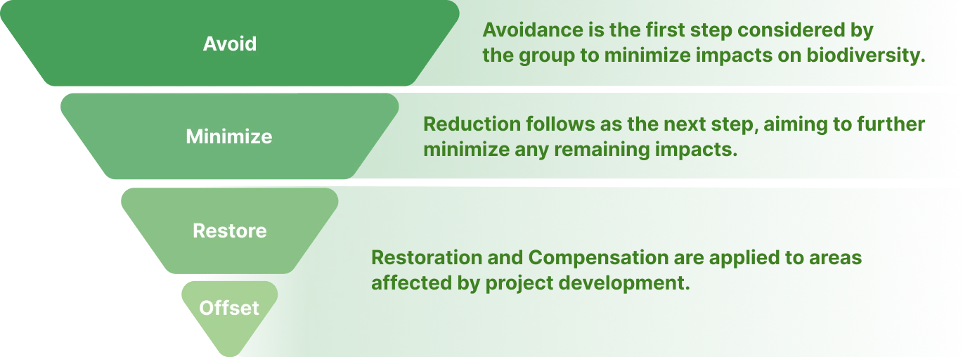 Mitigation Hierarchy