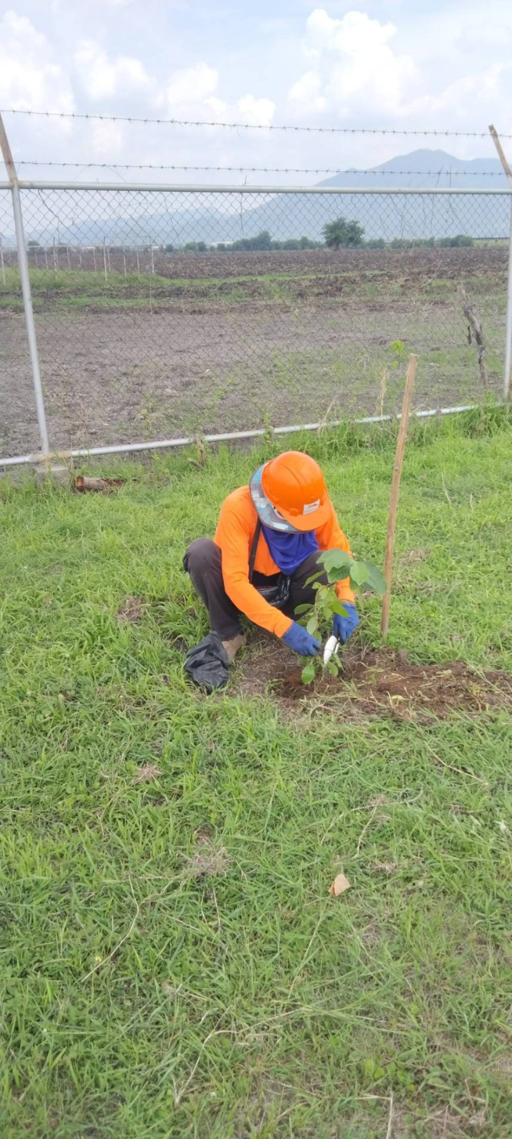 "SSP GREEN HAVEN: Protecting Life, Preserving Nature" Project 2025