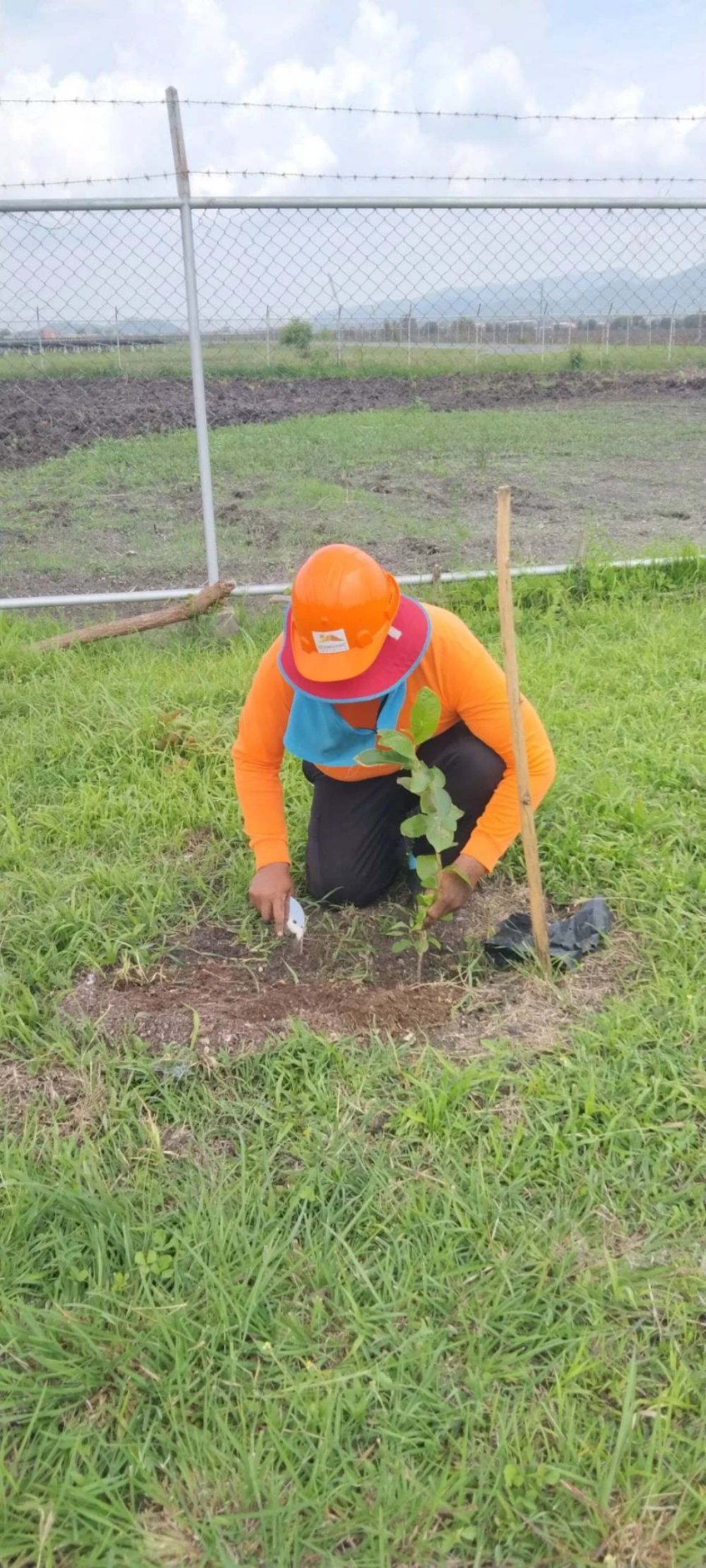 "SSP GREEN HAVEN: Protecting Life, Preserving Nature" Project 2025