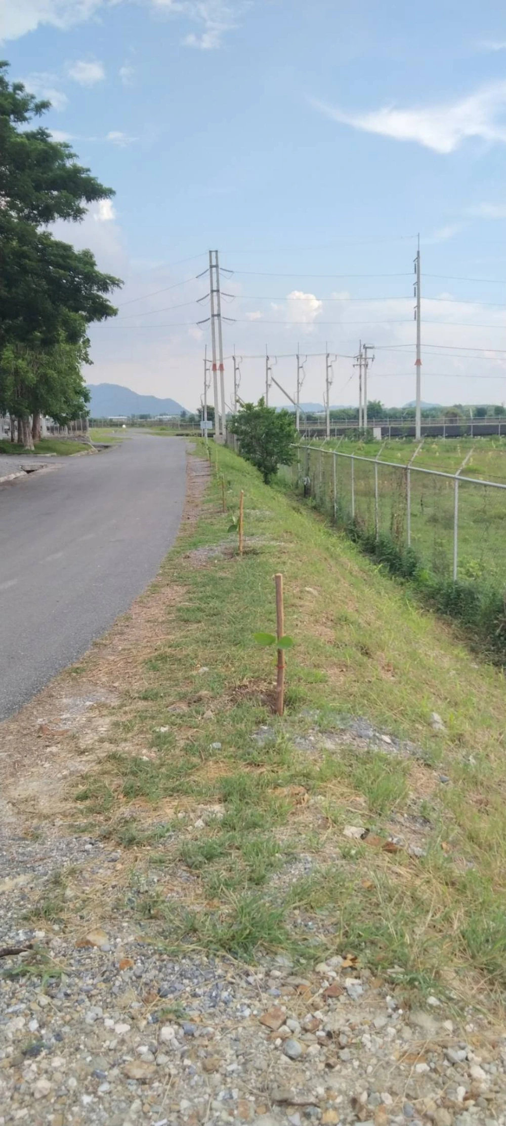 "SSP GREEN HAVEN: Protecting Life, Preserving Nature" Project 2025
