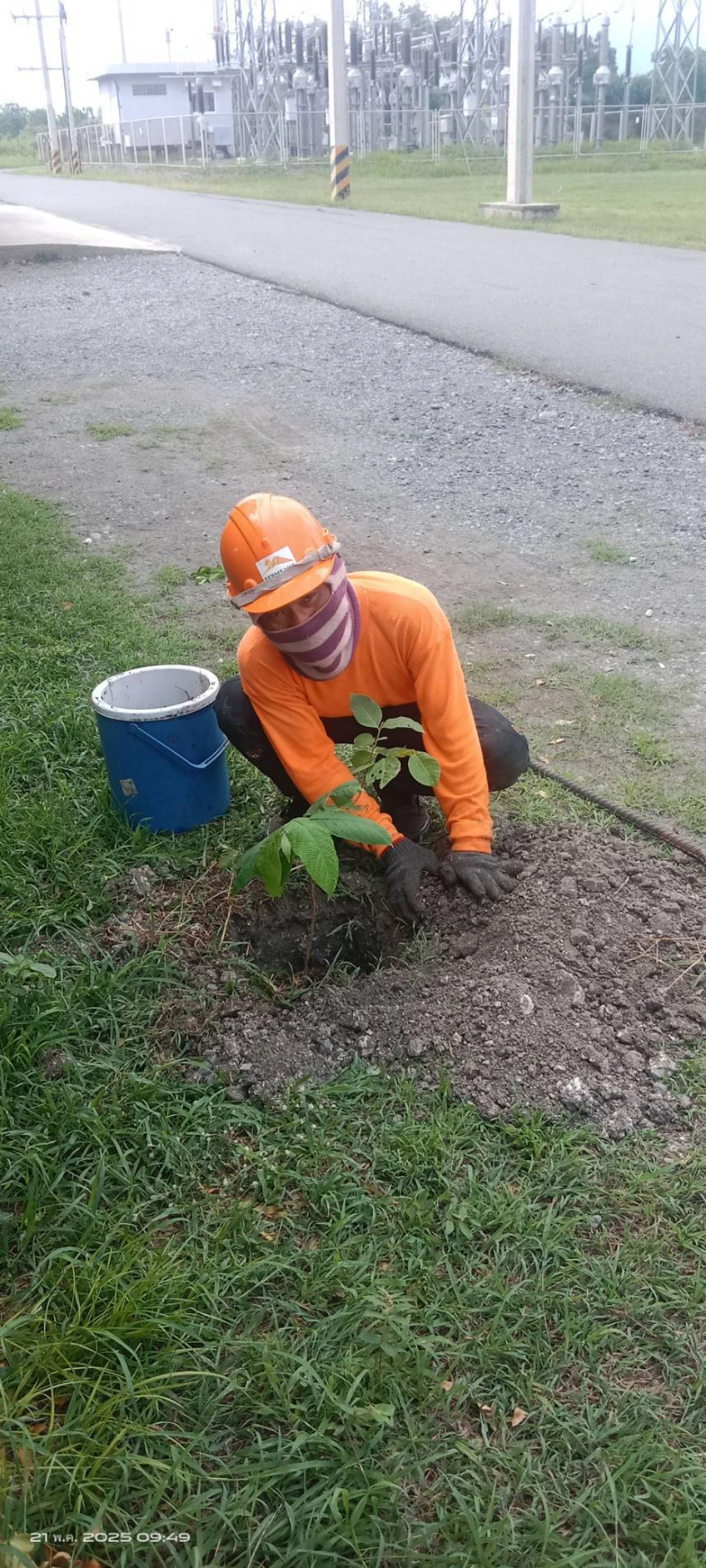 "SSP GREEN HAVEN: Protecting Life, Preserving Nature" Project 2025