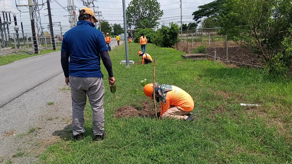 "SSP GREEN HAVEN: Protecting Life, Preserving Nature" Project 2025