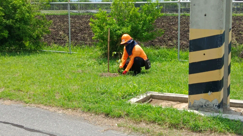 "SSP GREEN HAVEN: Protecting Life, Preserving Nature" Project 2025