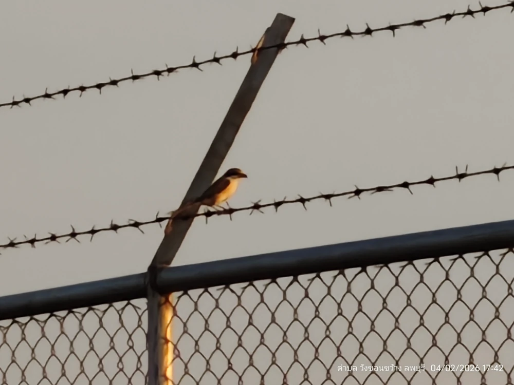 Biodiversity Conservation Project: “SSP GREEN HAVEN: Protecting Life, Preserving Nature”