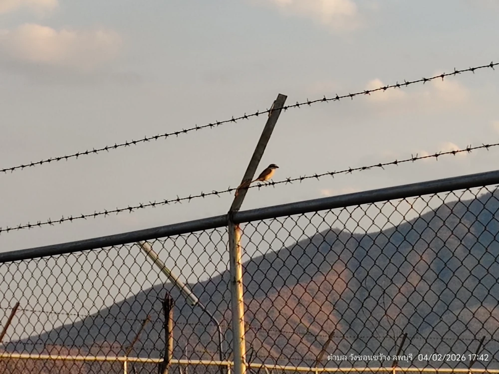 Biodiversity Conservation Project: “SSP GREEN HAVEN: Protecting Life, Preserving Nature”