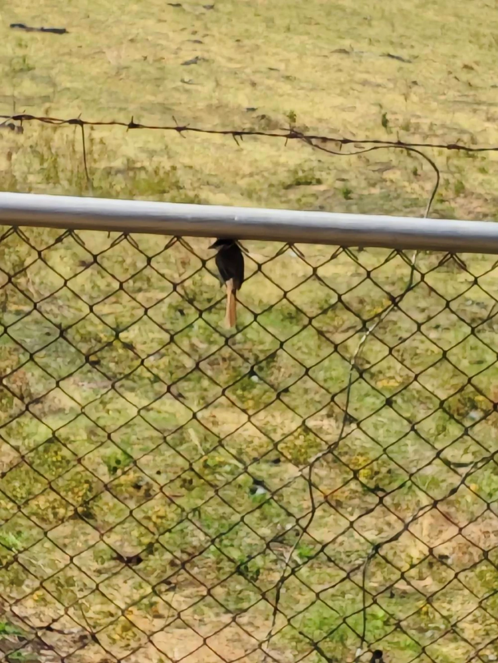 Biodiversity Conservation Project: “SSP GREEN HAVEN: Protecting Life, Preserving Nature”