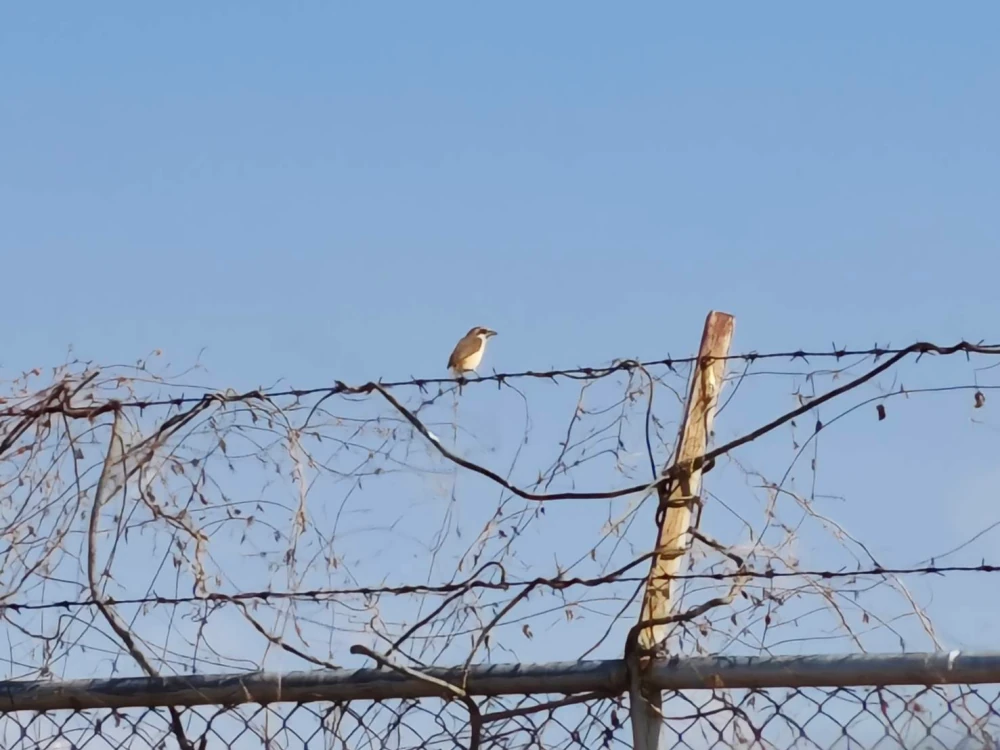 Biodiversity Conservation Project: “SSP GREEN HAVEN: Protecting Life, Preserving Nature”