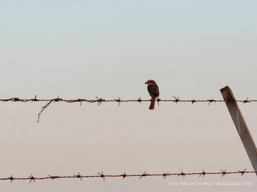 Biodiversity Conservation Project: “SSP GREEN HAVEN: Protecting Life, Preserving Nature”