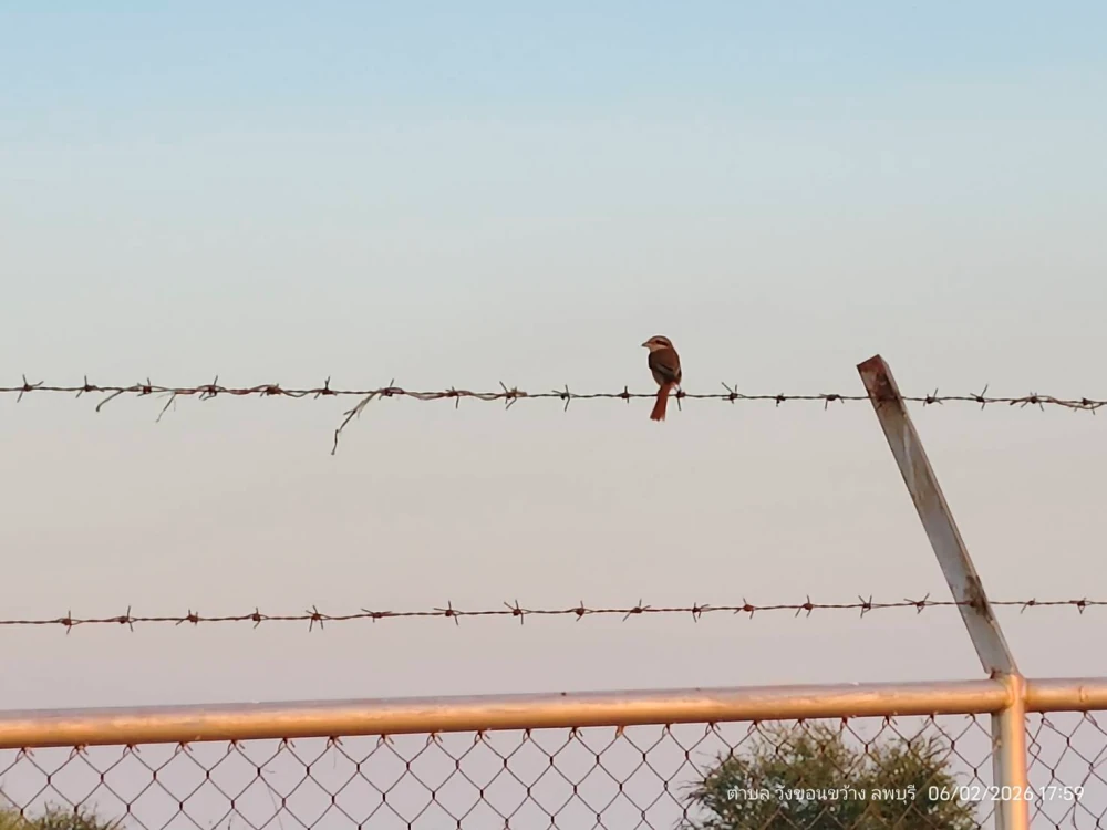 Biodiversity Conservation Project: “SSP GREEN HAVEN: Protecting Life, Preserving Nature”