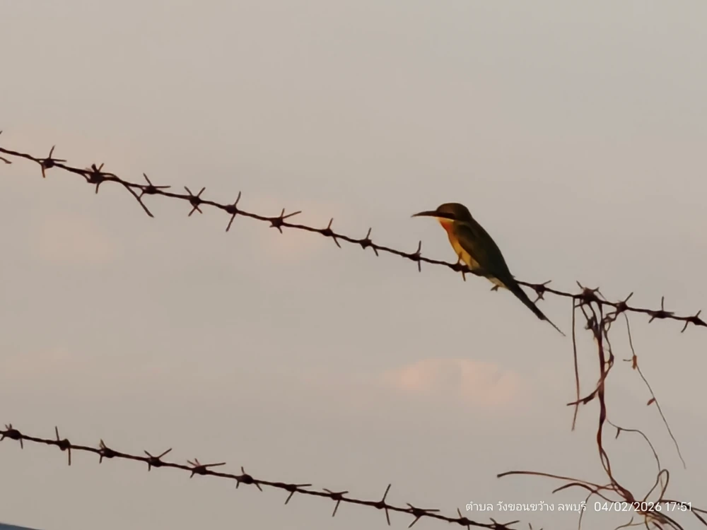 Biodiversity Conservation Project: “SSP GREEN HAVEN: Protecting Life, Preserving Nature”