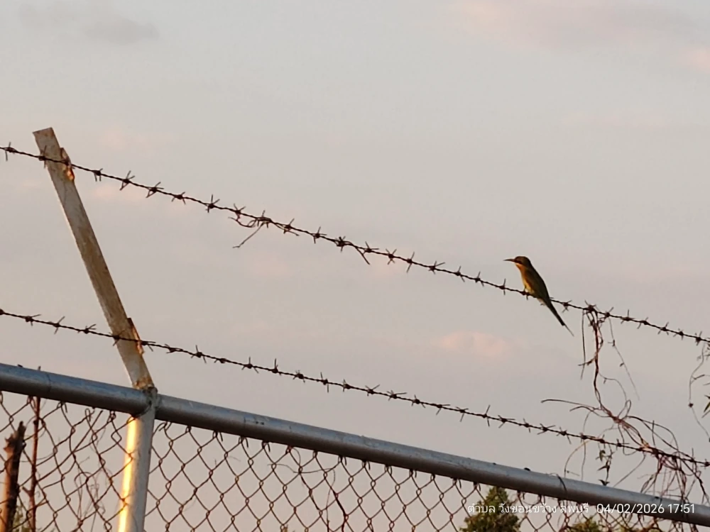 Biodiversity Conservation Project: “SSP GREEN HAVEN: Protecting Life, Preserving Nature”