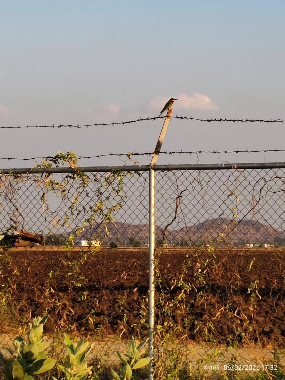 Biodiversity Conservation Project: “SSP GREEN HAVEN: Protecting Life, Preserving Nature”