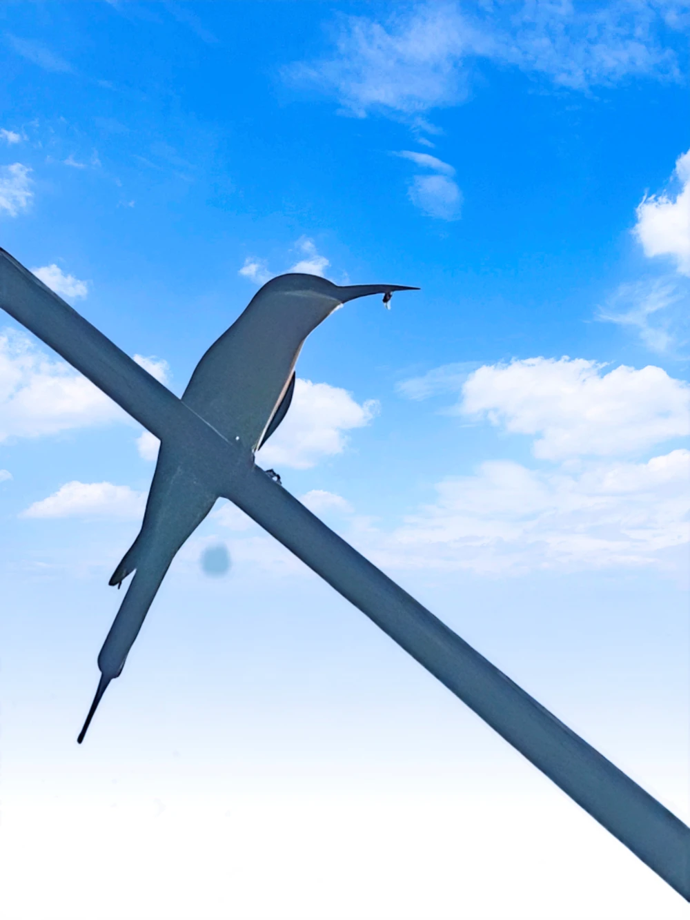 Biodiversity Conservation Project: “SSP GREEN HAVEN: Protecting Life, Preserving Nature”