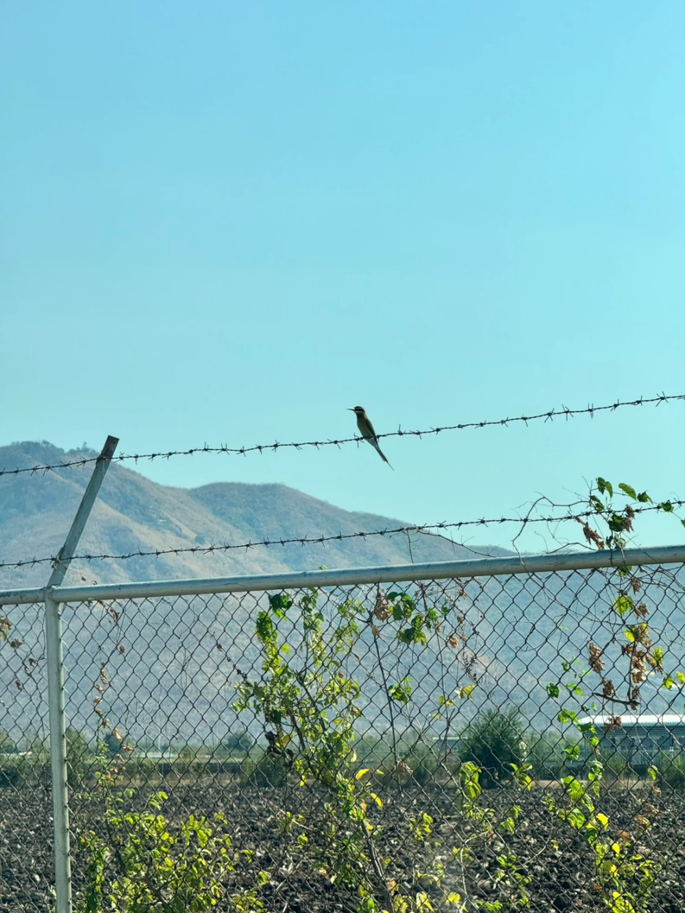 Biodiversity Conservation Project: “SSP GREEN HAVEN: Protecting Life, Preserving Nature”