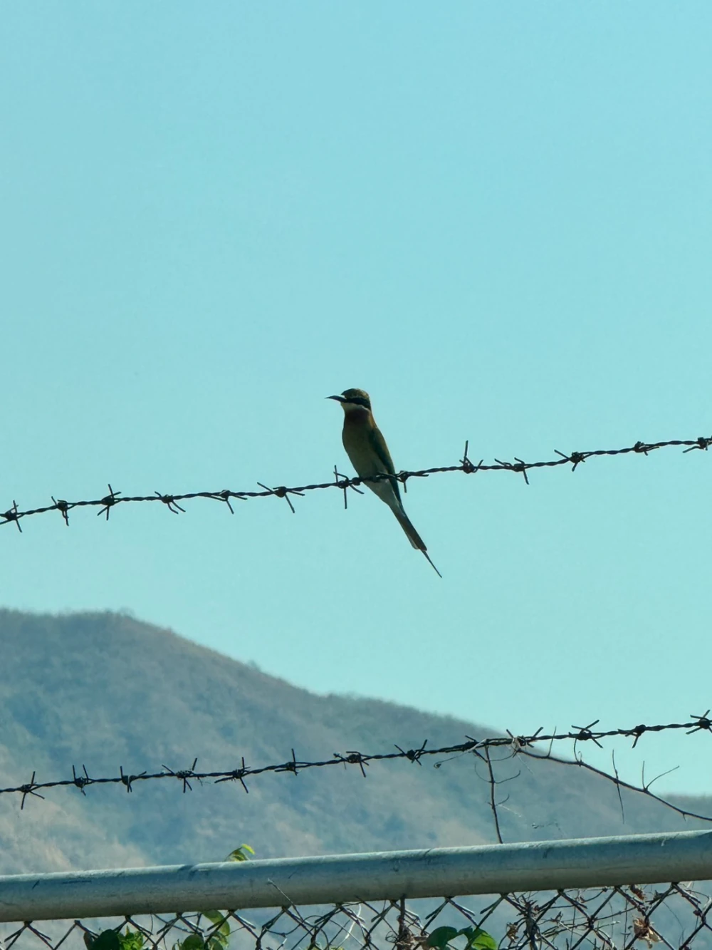 Biodiversity Conservation Project: “SSP GREEN HAVEN: Protecting Life, Preserving Nature”