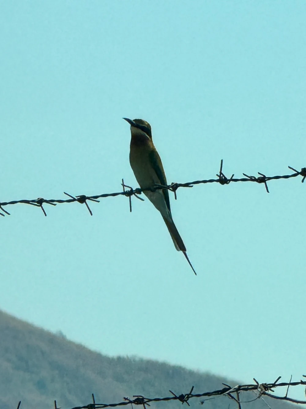 Biodiversity Conservation Project: “SSP GREEN HAVEN: Protecting Life, Preserving Nature”