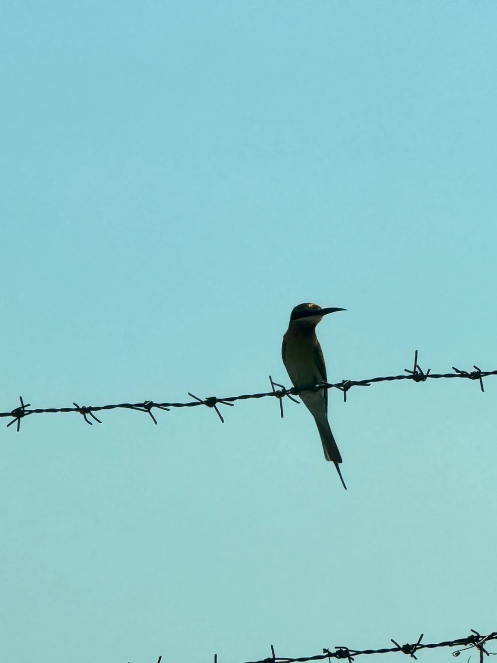 Biodiversity Conservation Project: “SSP GREEN HAVEN: Protecting Life, Preserving Nature”