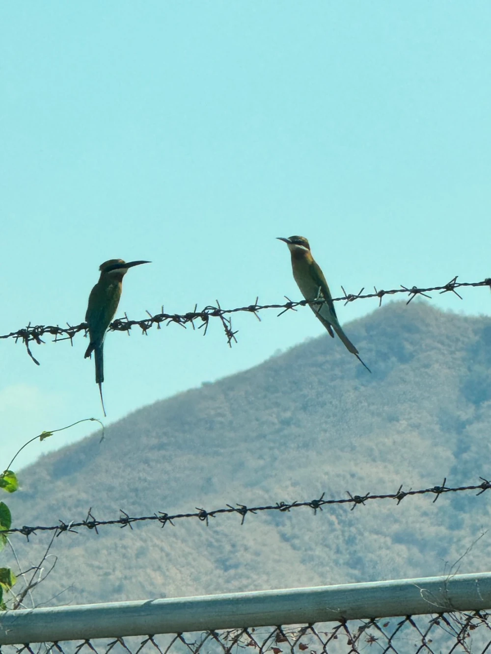 Biodiversity Conservation Project: “SSP GREEN HAVEN: Protecting Life, Preserving Nature”