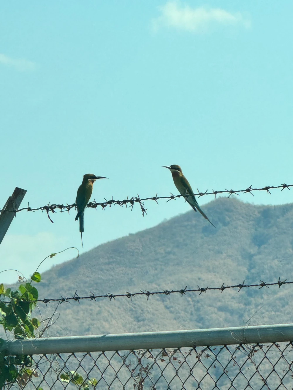 Biodiversity Conservation Project: “SSP GREEN HAVEN: Protecting Life, Preserving Nature”