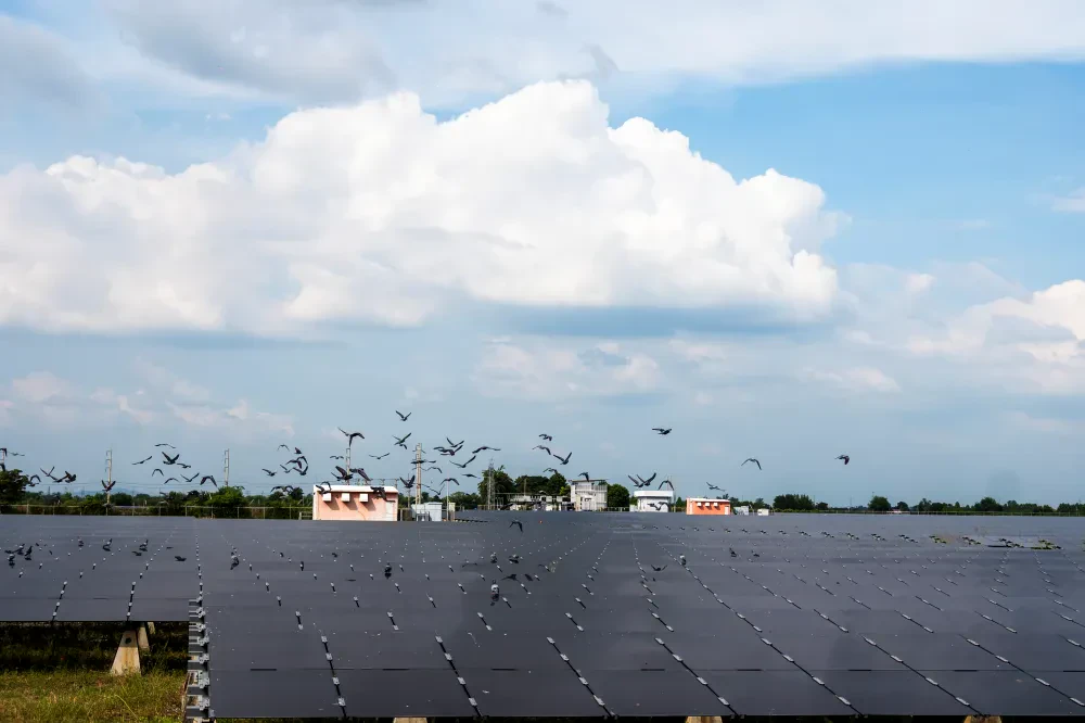 Biodiversity Conservation Project: “SSP GREEN HAVEN: Protecting Life, Preserving Nature”