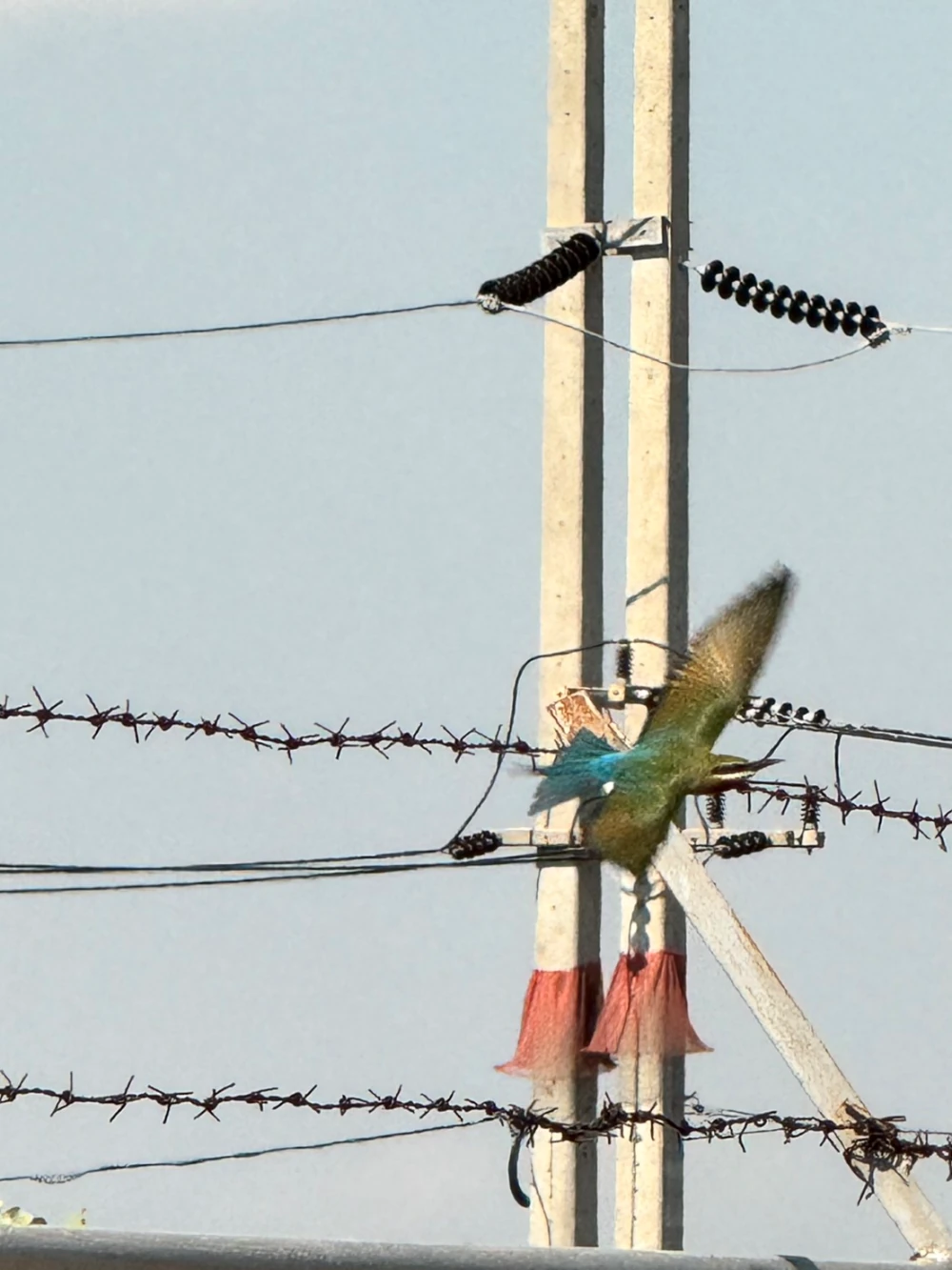 Biodiversity Conservation Project: “SSP GREEN HAVEN: Protecting Life, Preserving Nature”