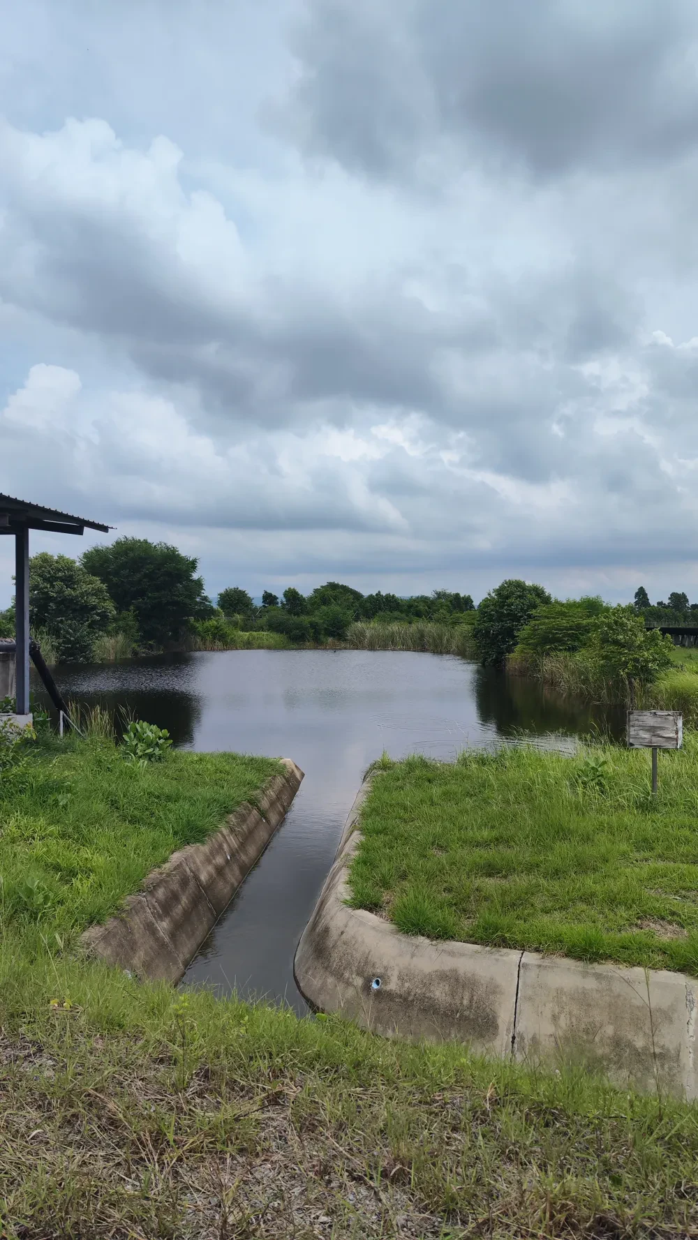 Biodiversity Conservation Project: “SSP GREEN HAVEN: Protecting Life, Preserving Nature”