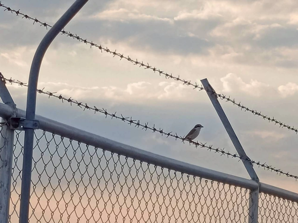 Biodiversity Conservation Project: “SSP GREEN HAVEN: Protecting Life, Preserving Nature”