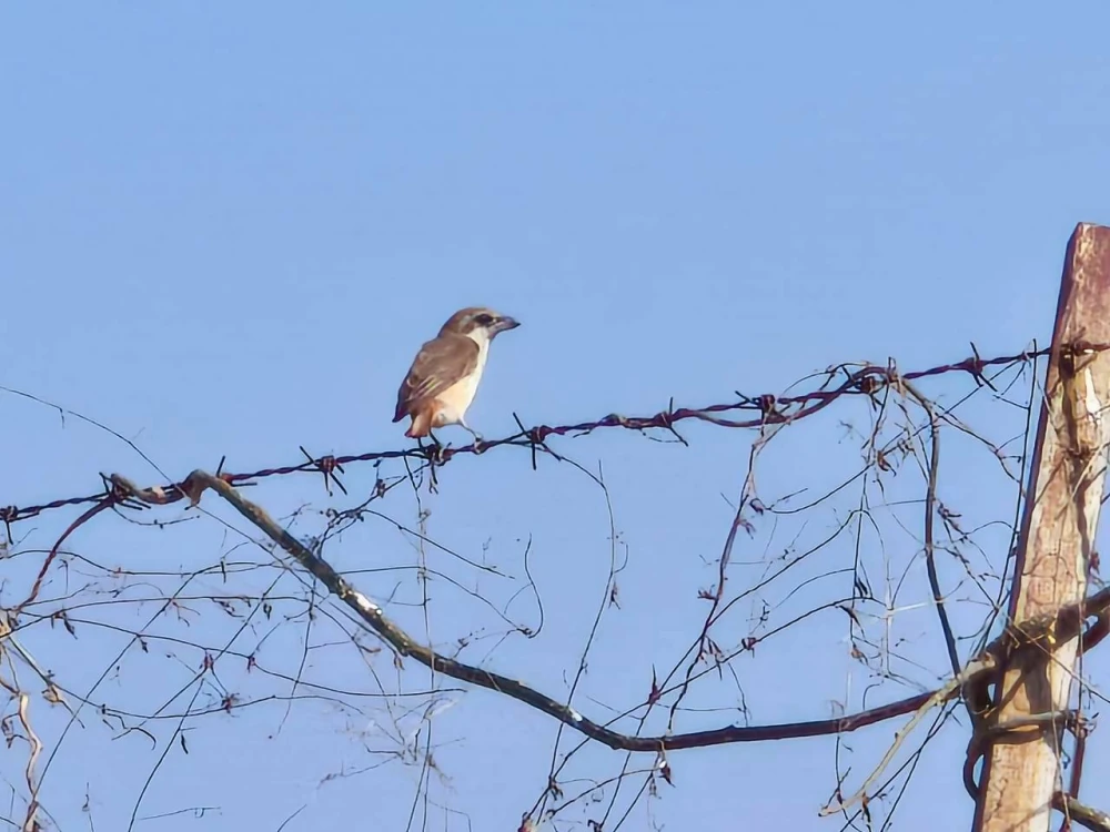 Biodiversity Conservation Project: “SSP GREEN HAVEN: Protecting Life, Preserving Nature”