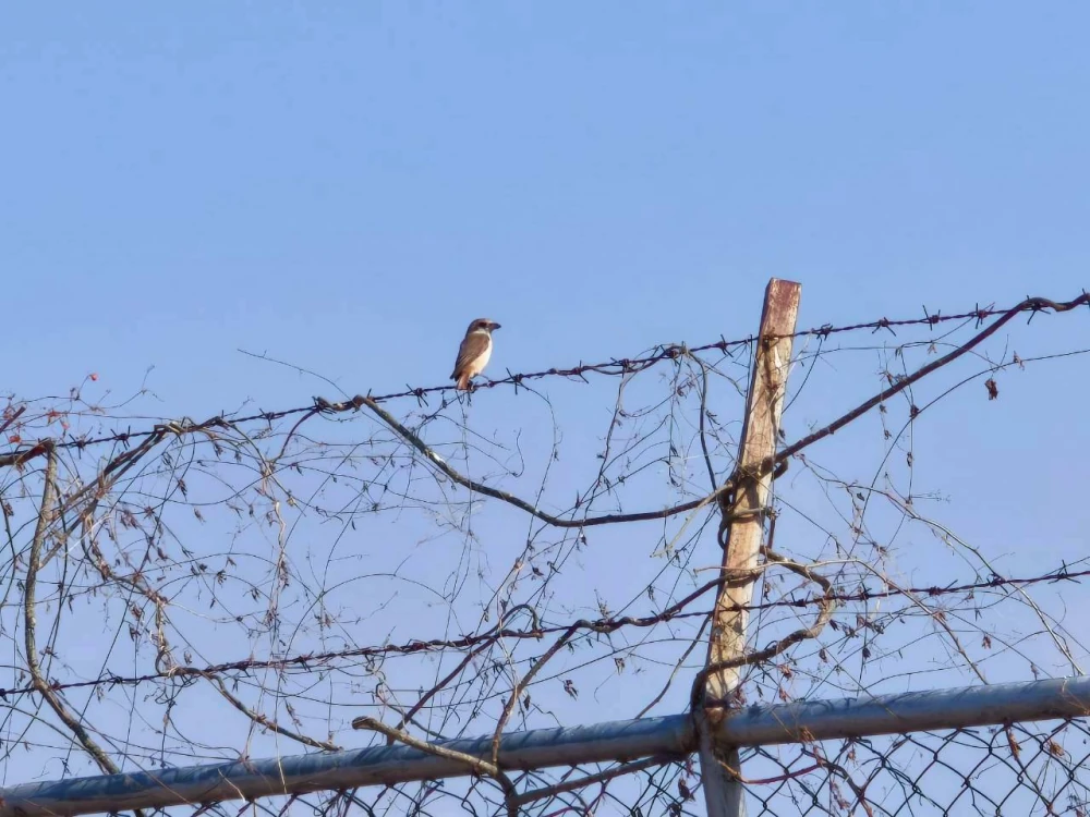 Biodiversity Conservation Project: “SSP GREEN HAVEN: Protecting Life, Preserving Nature”