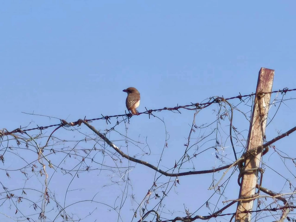 Biodiversity Conservation Project: “SSP GREEN HAVEN: Protecting Life, Preserving Nature”