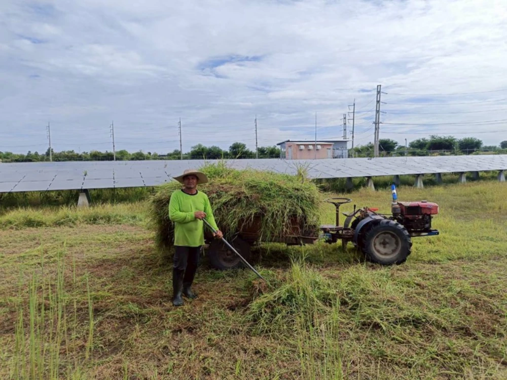 โครงการ “Weed for Feed”