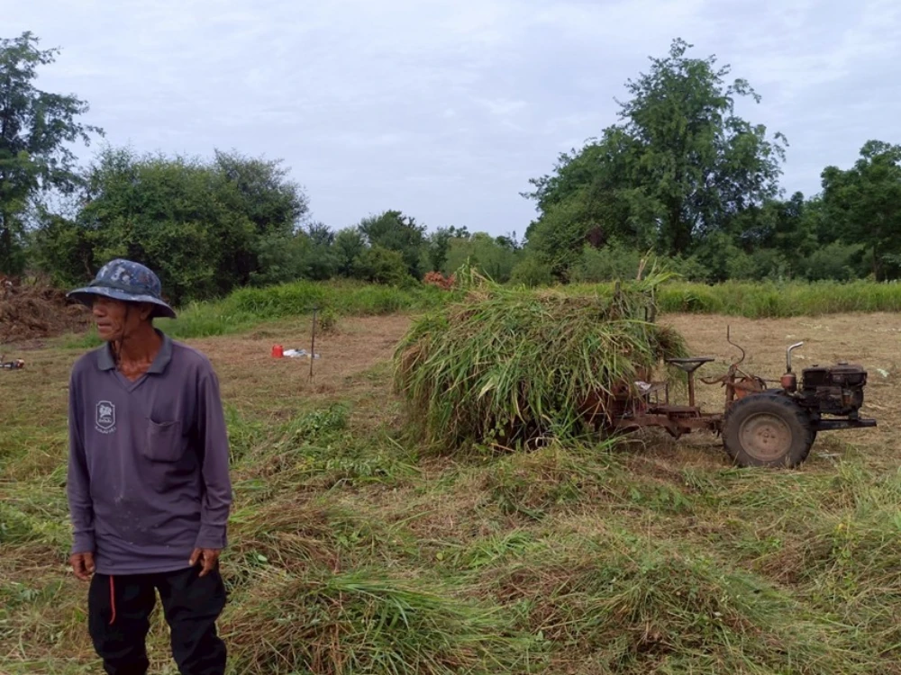โครงการ “Weed for Feed”